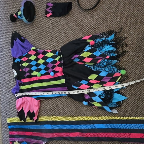 Harley Quinn Costume - Picture 10 of 10